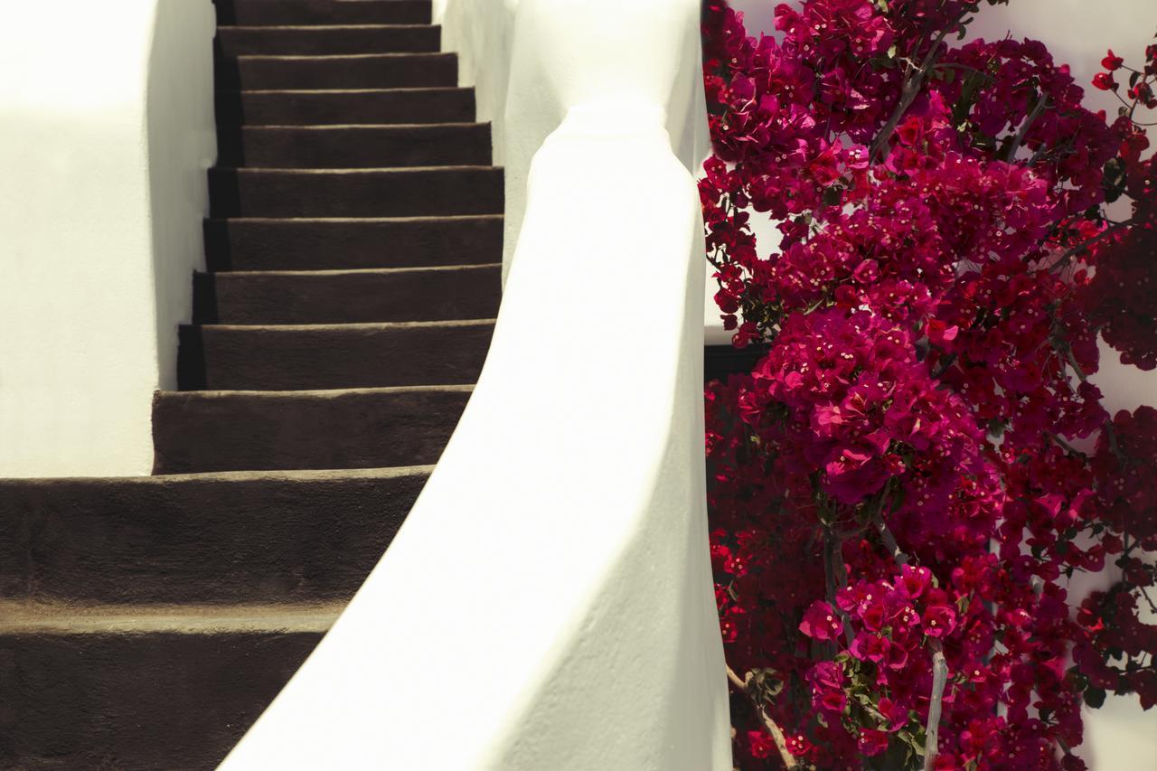 אויה Chelidonia Luxury Suites מראה חיצוני תמונה
